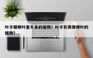 叶子跟柳叶差不多的植物？叶子长得像柳叶的植物？
