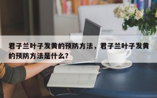 君子兰叶子发黄的预防方法，君子兰叶子发黄的预防方法是什么？