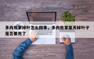 多肉熊掌掉叶怎么回事，多肉熊掌夏天掉叶子是否要死了