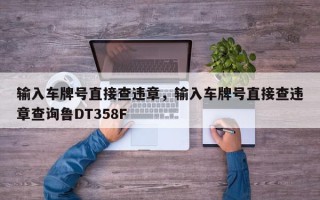 输入车牌号直接查违章，输入车牌号直接查违章查询鲁DT358F