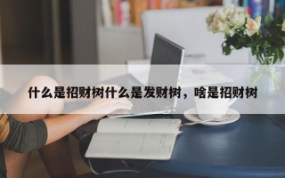 什么是招财树什么是发财树，啥是招财树