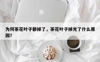 为何茶花叶子都掉了，茶花叶子掉光了什么原因？