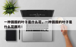 一种圆圆的叶子是什么花，一种圆圆的叶子是什么花图片！