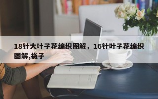 18针大叶子花编织图解，16针叶子花编织图解,袋子