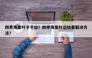 四季海棠叶子干边？四季海棠叶边枯萎解决方法？