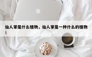 仙人掌是什么植物，仙人掌是一种什么的植物！
