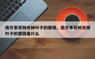 南方茶花树光掉叶子的原因，南方茶花树光掉叶子的原因是什么