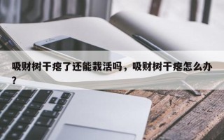 吸财树干瘪了还能栽活吗，吸财树干瘪怎么办？