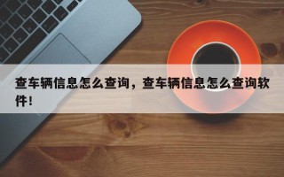 查车辆信息怎么查询，查车辆信息怎么查询软件！