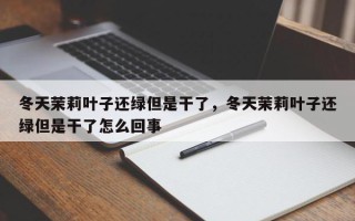 冬天茉莉叶子还绿但是干了，冬天茉莉叶子还绿但是干了怎么回事