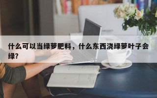 什么可以当绿萝肥料，什么东西浇绿萝叶子会绿？