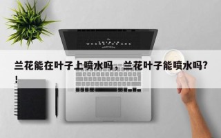 兰花能在叶子上喷水吗，兰花叶子能喷水吗?！