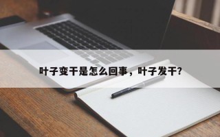 叶子变干是怎么回事，叶子发干？
