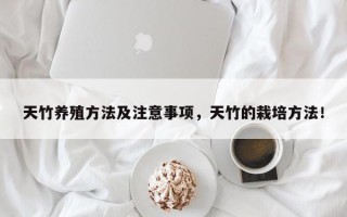 天竹养殖方法及注意事项，天竹的栽培方法！