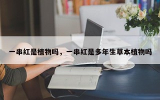 一串红是植物吗，一串红是多年生草本植物吗