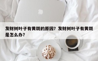 发财树叶子有黄斑的原因？发财树叶子有黄斑是怎么办？