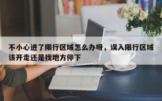 不小心进了限行区域怎么办呀，误入限行区域该开走还是找地方停下