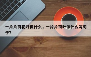 一片片荷花好像什么，一片片荷叶像什么写句子？