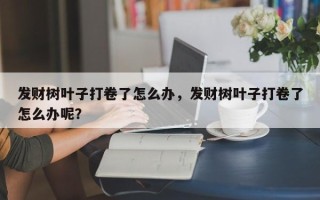 发财树叶子打卷了怎么办，发财树叶子打卷了怎么办呢？