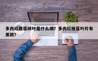 多肉红稚莲掉叶是什么病？多肉红稚莲叶片有黑斑？