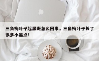 三角梅叶子起黑斑怎么回事，三角梅叶子长了很多小黑点！