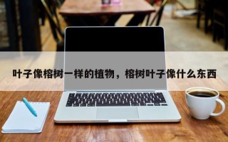 叶子像榕树一样的植物，榕树叶子像什么东西