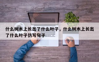 什么树木上长出了什么叶子，什么树木上长出了什么叶子仿写句子