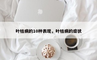 叶枯病的10种表现，叶枯病的症状