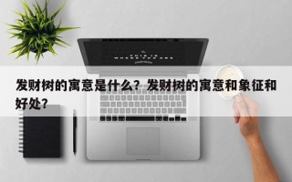 发财树的寓意是什么？发财树的寓意和象征和好处？