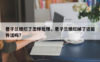 君子兰根烂了怎样处理，君子兰根烂掉了还能养活吗?