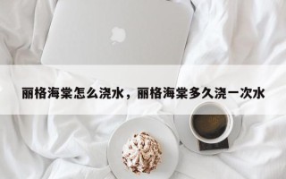 丽格海棠怎么浇水，丽格海棠多久浇一次水