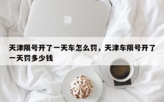 天津限号开了一天车怎么罚，天津车限号开了一天罚多少钱