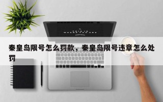 秦皇岛限号怎么罚款，秦皇岛限号违章怎么处罚