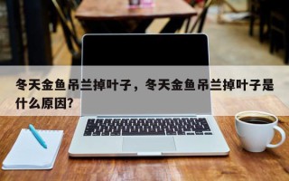 冬天金鱼吊兰掉叶子，冬天金鱼吊兰掉叶子是什么原因？