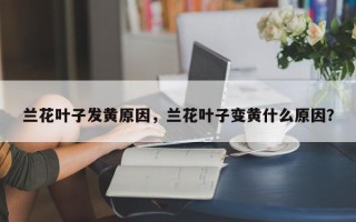 兰花叶子发黄原因，兰花叶子变黄什么原因？