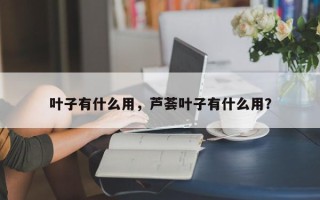 叶子有什么用，芦荟叶子有什么用？