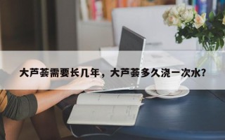 大芦荟需要长几年，大芦荟多久浇一次水？