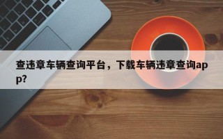 查违章车辆查询平台，下载车辆违章查询app？