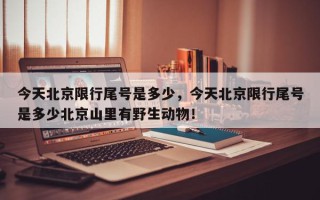 今天北京限行尾号是多少，今天北京限行尾号是多少北京山里有野生动物！