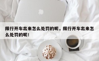 限行开车出来怎么处罚的呢，限行开车出来怎么处罚的呢！