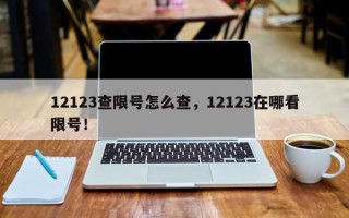 12123查限号怎么查，12123在哪看限号！