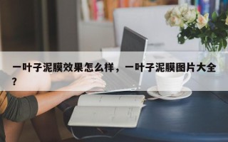 一叶子泥膜效果怎么样，一叶子泥膜图片大全？