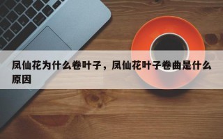 凤仙花为什么卷叶子，凤仙花叶子卷曲是什么原因