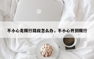 不小心走限行路段怎么办，不小心开到限行