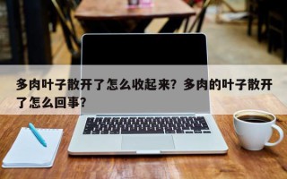多肉叶子散开了怎么收起来？多肉的叶子散开了怎么回事？