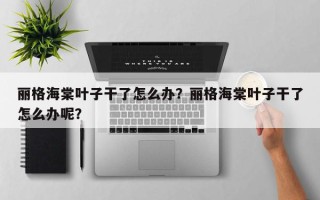 丽格海棠叶子干了怎么办？丽格海棠叶子干了怎么办呢？