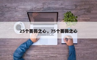 25个蔷薇之心，75个蔷薇之心