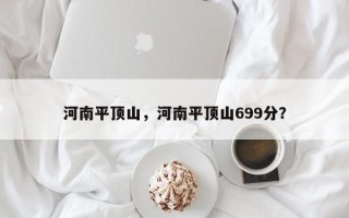 河南平顶山，河南平顶山699分？