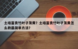 土培富贵竹叶子发黄？土培富贵竹叶子发黄怎么救最简单方法？