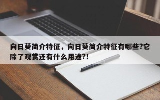 向日葵简介特征，向日葵简介特征有哪些?它除了观赏还有什么用途?！